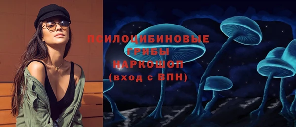 мескалин Богданович
