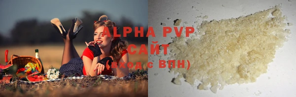 крисы Богородицк