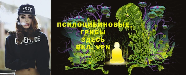 мескалин Богданович