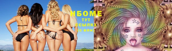 крисы Богородицк