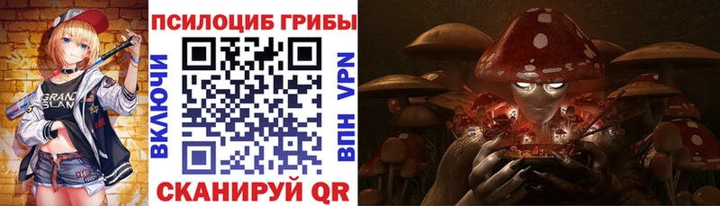 Галлюциногенные грибы Psilocybe  Красный Холм 